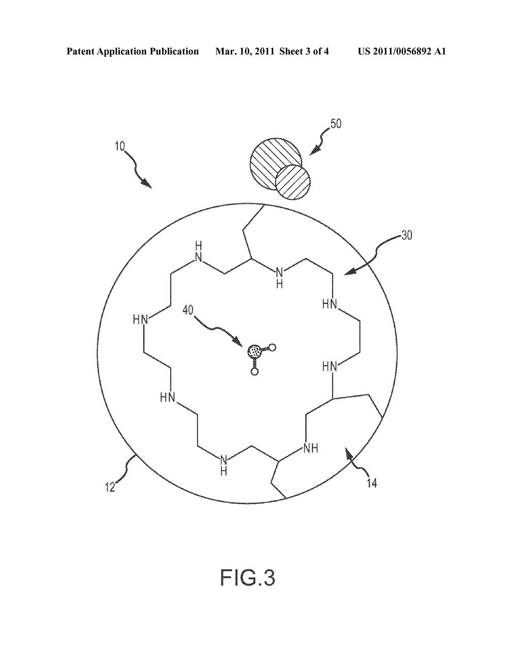 MACROCYCLIC PORE-APERTURED CARBON NANOTUBE APPARATUS - diagram, schematic, and image 04