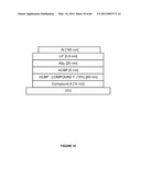 Long lifetime Phosphorescent Organic Light Emitting Device (OLED) Structures diagram and image