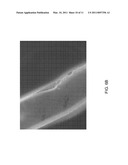 Setting Laser Power For Laser Machining Stents From Polymer Tubing diagram and image