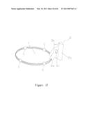 Dog Feces Collecting Device and Method of Use Thereof diagram and image