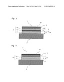 Wafer Support Member, Method for Manufacturing the Same and Electrostatic Chuck Using the Same diagram and image