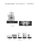 Transparent Conducting Components and Related Electro-Optic Modulator Devices diagram and image