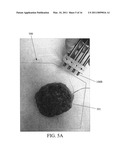 OPTICAL ASSAY SYSTEM WITH A MULTI-PROBE IMAGING ARRAY diagram and image