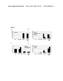 Molecular Control of Brown Fat Differentiation and Engergy Expenditure diagram and image