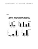 Molecular Control of Brown Fat Differentiation and Engergy Expenditure diagram and image