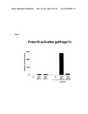 Molecular Control of Brown Fat Differentiation and Engergy Expenditure diagram and image