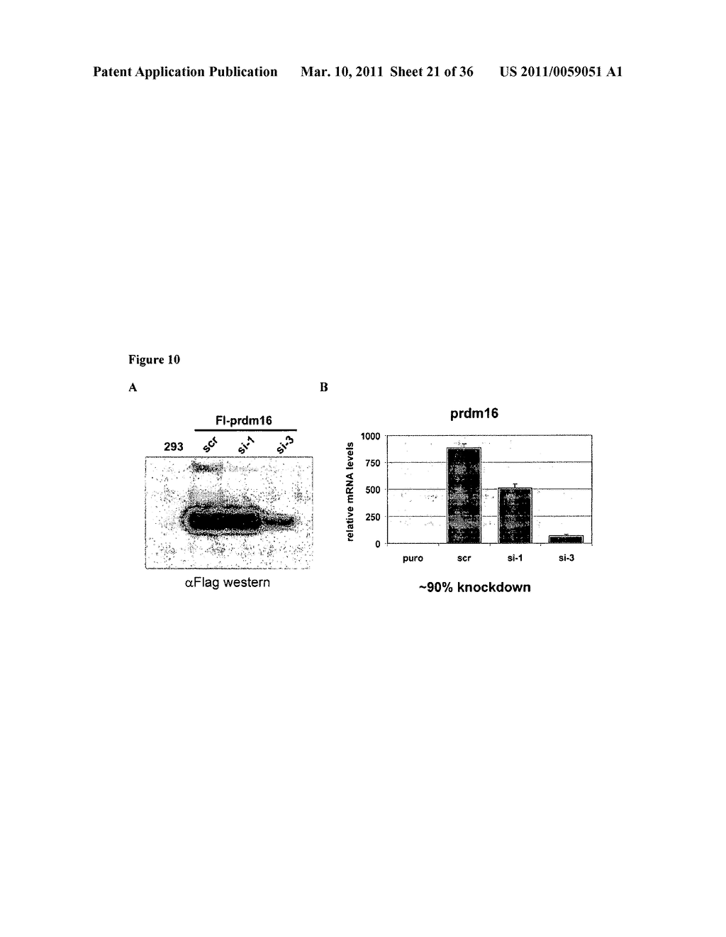 Molecular Control of Brown Fat Differentiation and Engergy Expenditure - diagram, schematic, and image 22