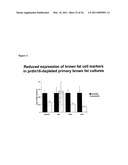 Molecular Control of Brown Fat Differentiation and Engergy Expenditure diagram and image