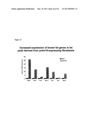 Molecular Control of Brown Fat Differentiation and Engergy Expenditure diagram and image