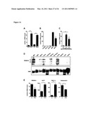 Molecular Control of Brown Fat Differentiation and Engergy Expenditure diagram and image