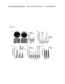 Molecular Control of Brown Fat Differentiation and Engergy Expenditure diagram and image