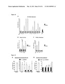 Molecular Control of Brown Fat Differentiation and Engergy Expenditure diagram and image
