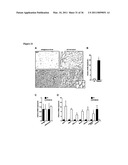 Molecular Control of Brown Fat Differentiation and Engergy Expenditure diagram and image