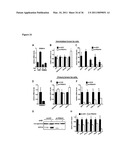 Molecular Control of Brown Fat Differentiation and Engergy Expenditure diagram and image