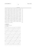 Molecular Control of Brown Fat Differentiation and Engergy Expenditure diagram and image