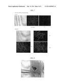 CELLULAR THERAPEUTIC AGENT FOR INCONTINENCE OR URINE COMPRISING STEM CELLS ORIGINATED FROM DECIDUA OR ADIPOSE diagram and image