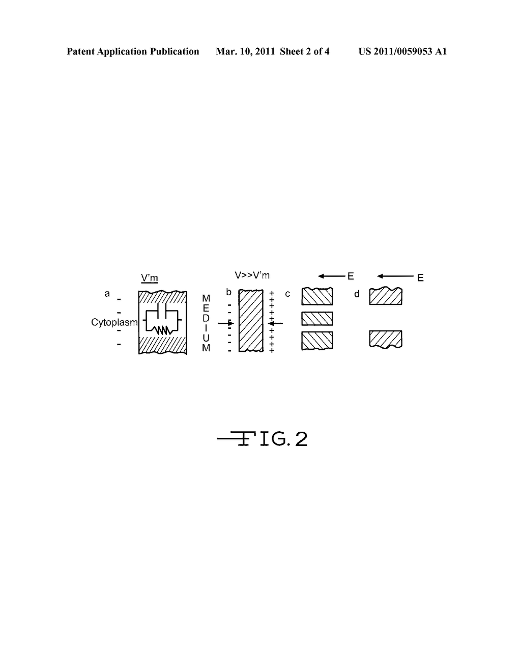 METHOD OF TREATING BIOCELLS - diagram, schematic, and image 03