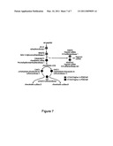 TREATING MYELIN DISEASES WITH OPTIMIZED CELL PREPARATIONS diagram and image