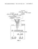 Method for the Generation of Genetically Modified Vertebrate Precursor Lymphocytes and Use Thereof for the Production of Heterologous Binding Proteins diagram and image