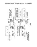 Method for the Generation of Genetically Modified Vertebrate Precursor Lymphocytes and Use Thereof for the Production of Heterologous Binding Proteins diagram and image