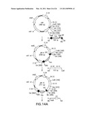 Method for the Generation of Genetically Modified Vertebrate Precursor Lymphocytes and Use Thereof for the Production of Heterologous Binding Proteins diagram and image