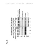 ESPFU NUCLEIC ACIDS AND PROTEINS AND USES THEREOF diagram and image