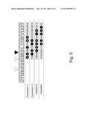 HIGH AFFINITY HUMAN ANTIBODIES TO HUMAN PROTEASE-ACTIVATED RECEPTOR-2 diagram and image