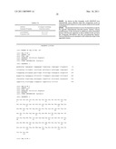 HIGH AFFINITY HUMAN ANTIBODIES TO HUMAN PROTEASE-ACTIVATED RECEPTOR-2 diagram and image