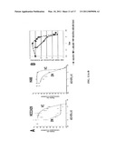 Targeting of Notch3 Receptor Function for Cancer Therapy diagram and image
