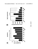 Targeting of Notch3 Receptor Function for Cancer Therapy diagram and image