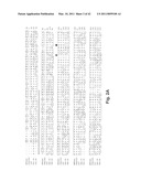 C/CLP Antagonists And Methods Of Use Thereof diagram and image