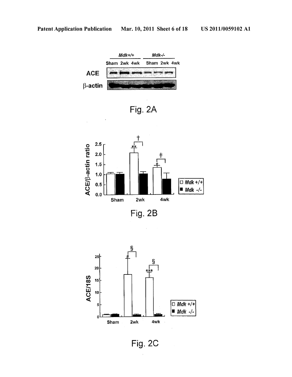 Therapeutic Method Targeting Midkine - diagram, schematic, and image 07