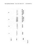 FUTURE CARDIAC EVENT BIOMARKERS diagram and image