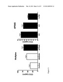 FUTURE CARDIAC EVENT BIOMARKERS diagram and image