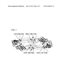 LOCALIZATION AND CHARACTERIZATION OF FLAVIVIRUS ENVELOPE GLYCOPROTEIN CROSS-REACTIVE EPITOPES AND METHODS FOR THEIR USE diagram and image