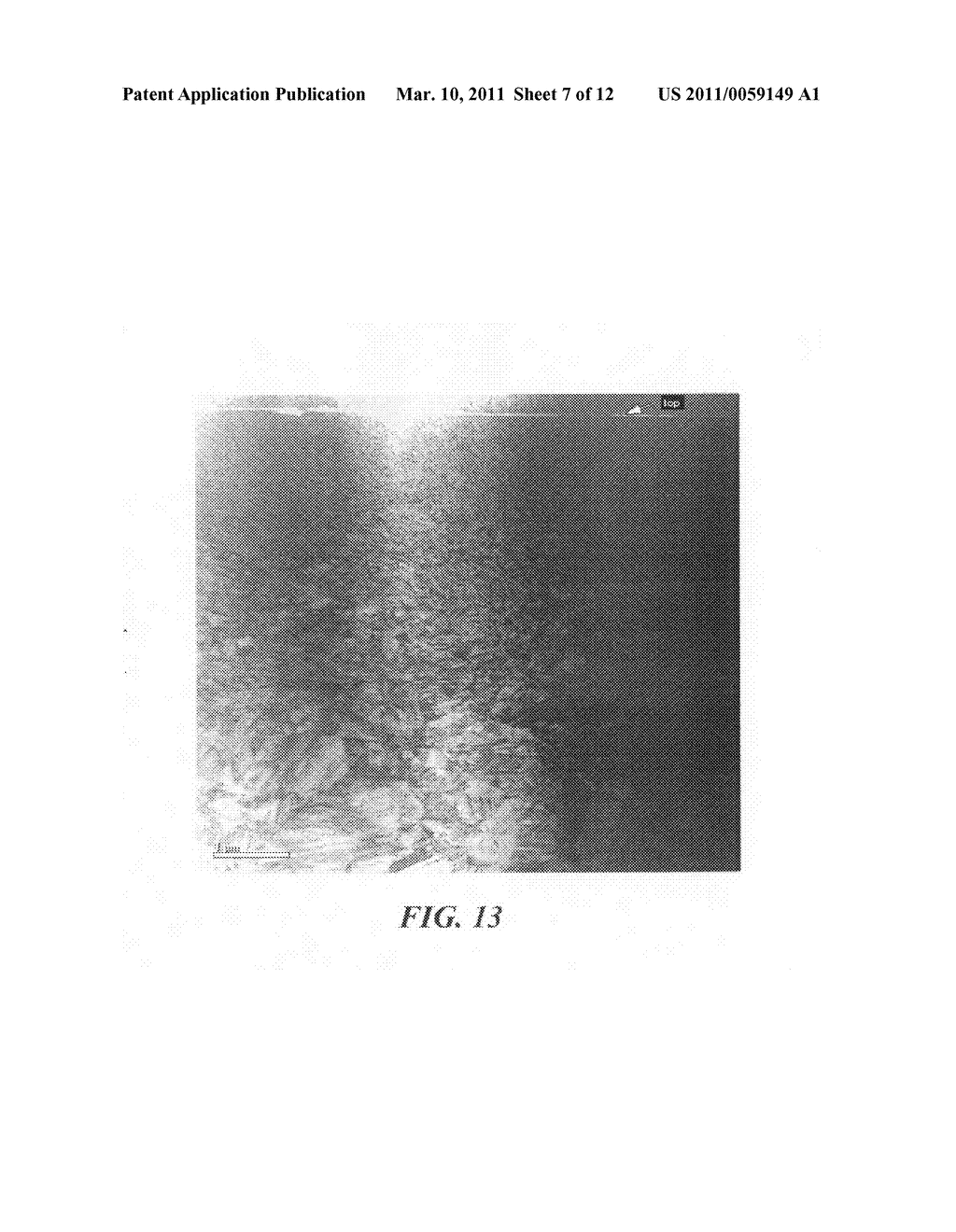 Process for depositing calcium phosphate therapeutic coatings with different release rates and a prosthesis coated via the process - diagram, schematic, and image 08