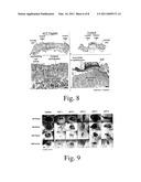 COMPOSITIONS AND METHODS FOR PROMOTING WOUND HEALING AND TISSUE REGENERATION diagram and image