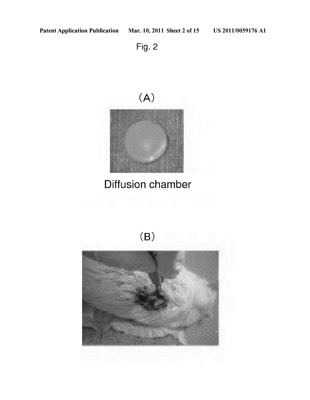 MATERIAL FOR PREVENTING TISSUE ADHESION AND MATERIAL FOR PREVENTING JOINT CONTRACTURE - diagram, schematic, and image 03