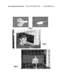 METHOD FOR DERIVING SHAPE INFORMATION diagram and image