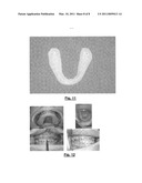 METHOD FOR DERIVING SHAPE INFORMATION diagram and image