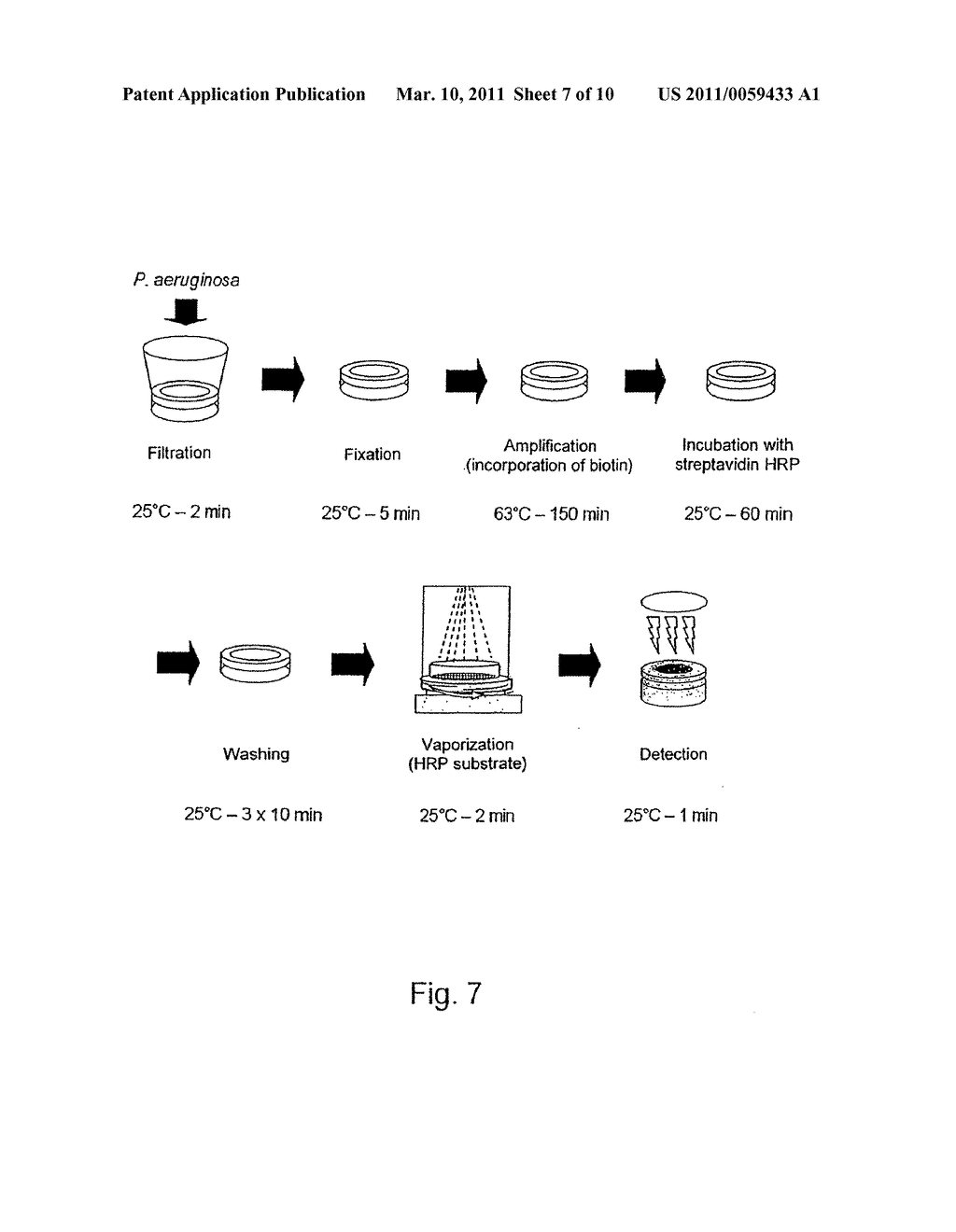 Method for the detection and characterization of microorganisms on a filter - diagram, schematic, and image 08