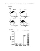  Methods for Beaming diagram and image