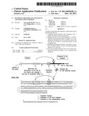 Method of Preparing DNA Fragments and Applications Thereof diagram and image