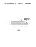 Method of Preparing DNA Fragments and Applications Thereof diagram and image