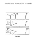 Method of Preparing DNA Fragments and Applications Thereof diagram and image