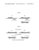 METHOD FOR DETERMINING METHYLATION AT CYTOSINE RESIDUES diagram and image