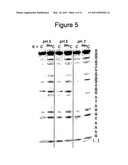 METHOD FOR DETERMINING METHYLATION AT CYTOSINE RESIDUES diagram and image