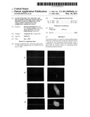 System for the Cell-Specific and Development-Specific Selection of Differentiating Embryonic Stem Cells, Adult Stem Cells and Embryonic Germline Cells diagram and image