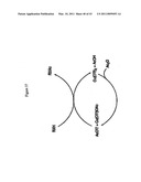 Methods for Making Simvastatin and Intermediates diagram and image