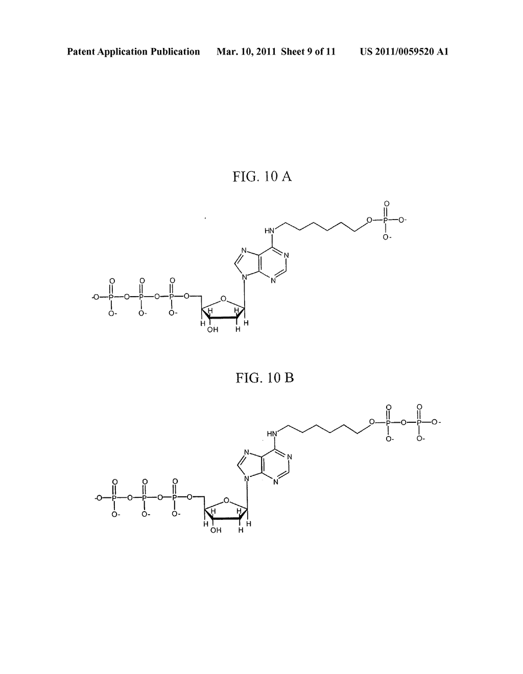 Deoxyribonucleic acid measuring apparatus and method of measuring deoxyribonucleic acid - diagram, schematic, and image 10